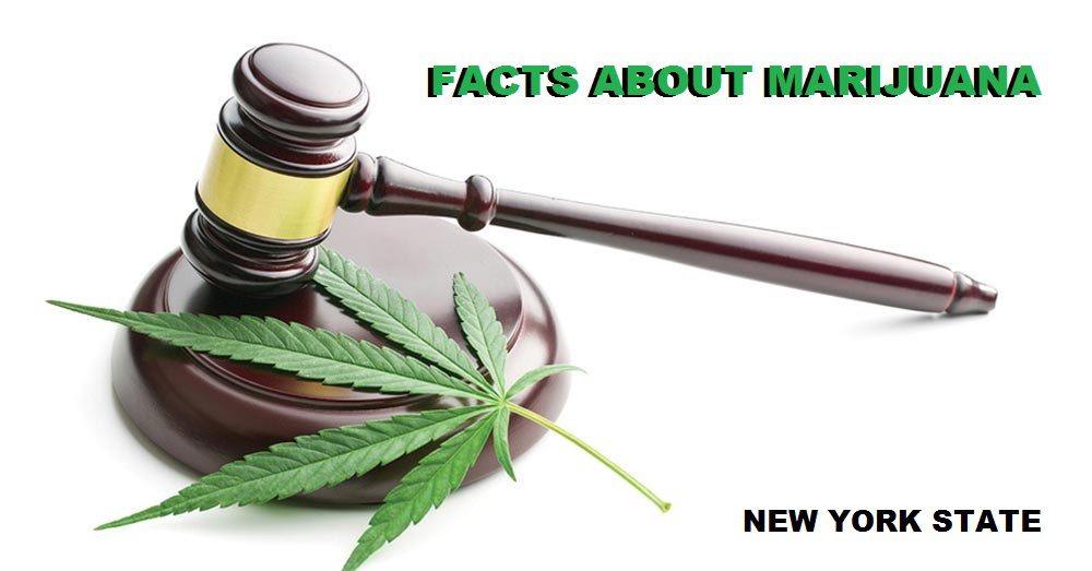 Cannabis Questions in NYS - LI Cannabis Tours