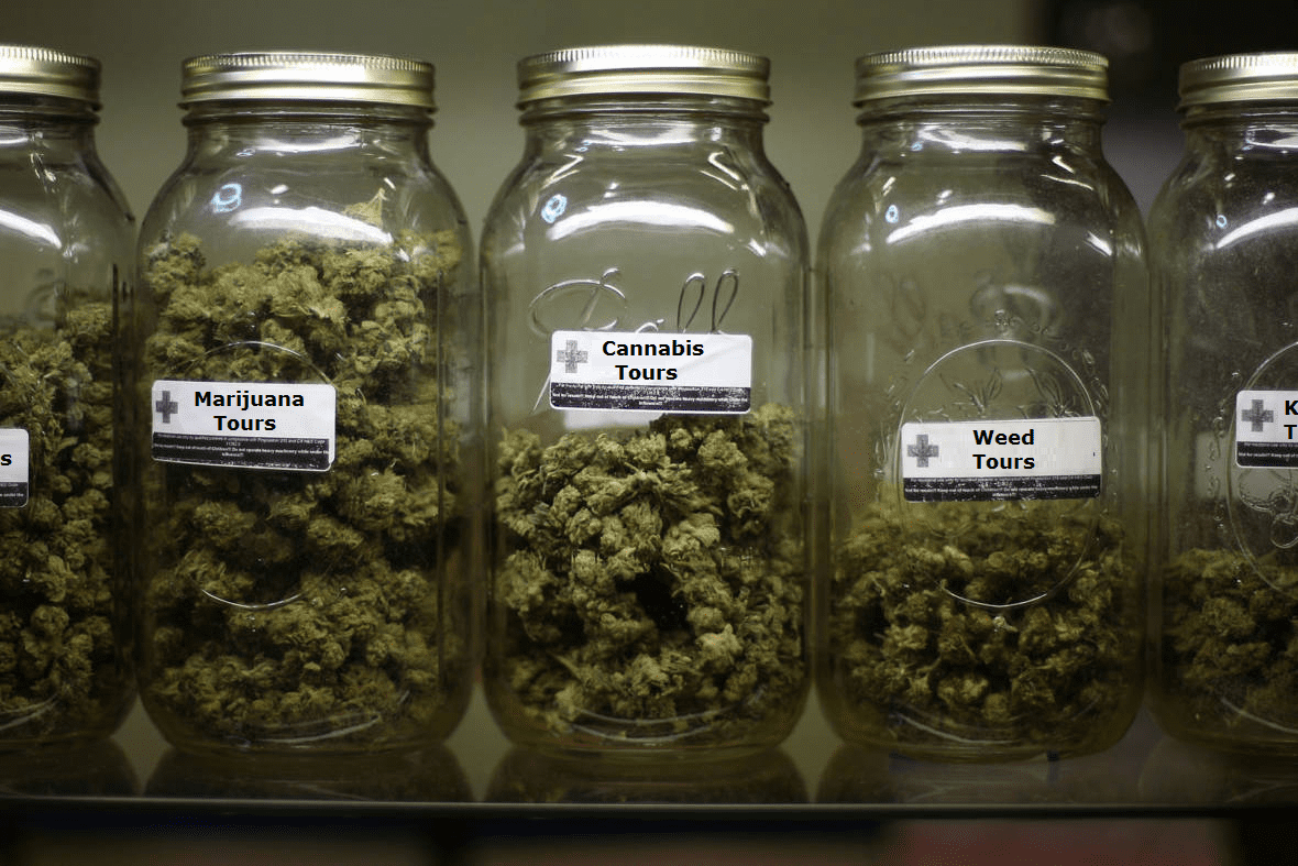 Long Island Marijuana Tours - LI Cannabis Tours